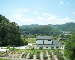 드림천연치유센터