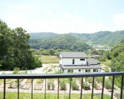 드림천연치유센터